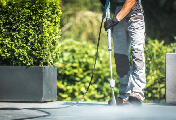 Best Roof Washing  in Snyderville, UT